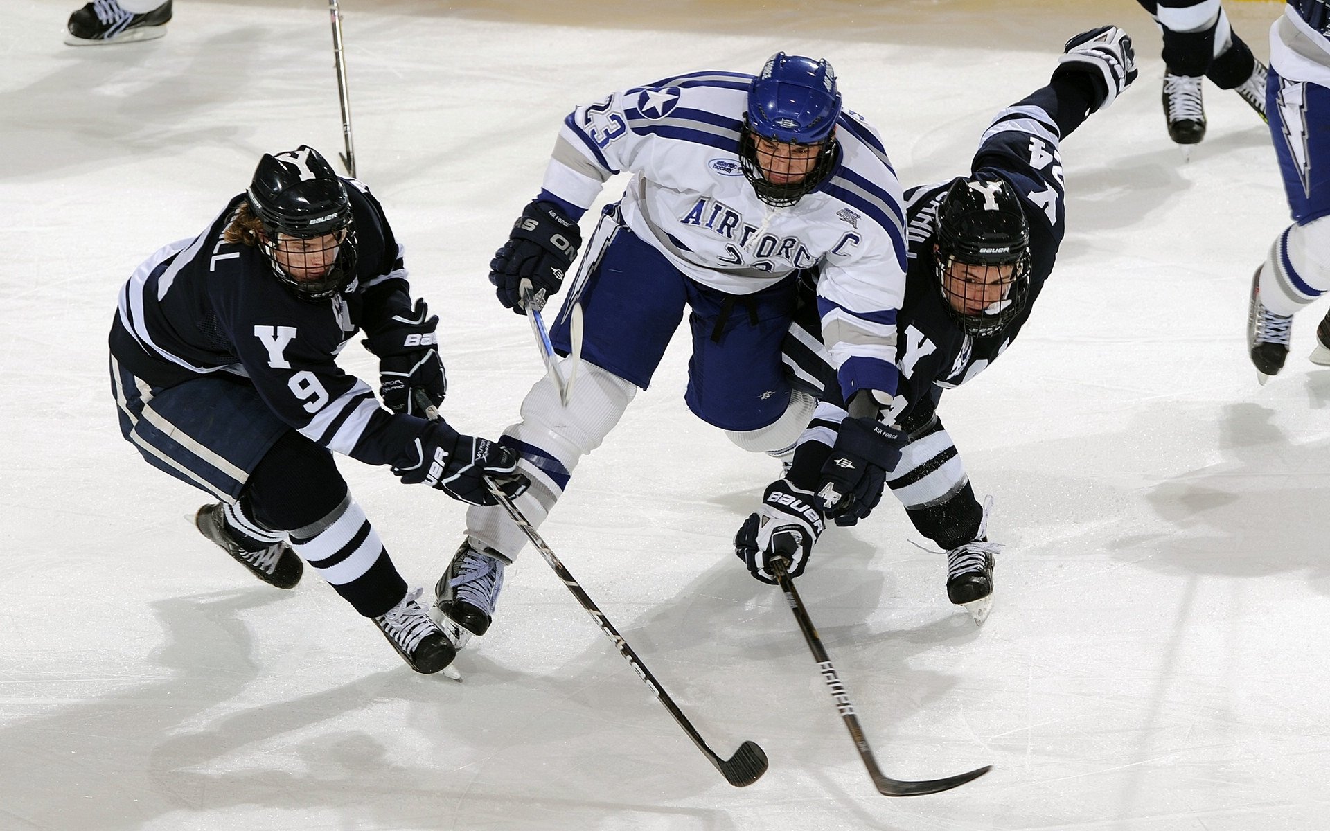 《女性电竞崛起:粉丝和选手共同撑起一个新局面》
